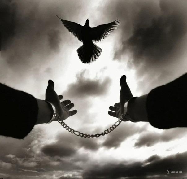 Create meme: Freedom is paradise, hands in chains, friend 