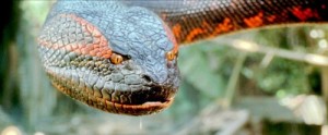 Создать мем: амазонка, самая большая змея, snake