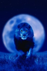 Создать мем: лучшие заставки на аватарку, лев и луна фото, лунный лев