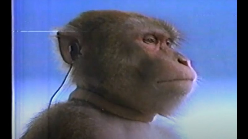 Create meme: monkey with a player, monkey with headphones, monkey with headphones
