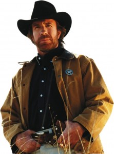 Create meme: Walker Texas Ranger, facts about Chuck Norris, Chuck Norris cowboy