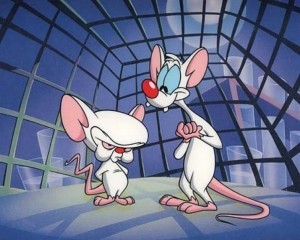 Create meme: cartoon pinky and brain, the cartoon about the mice that wanted to take over the world, cartoon mice pinky and brain