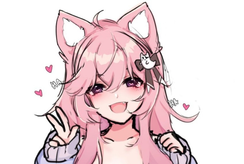 Create meme: anime art, anime character, anime neko