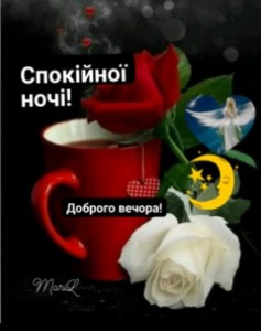 Create meme: good evening, beautiful roses, the flowers are beautiful