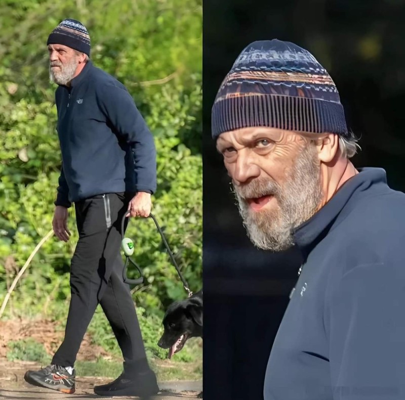 Create meme: hugh laurie 2022, Laurie Hugh, Hugh Laurie is now