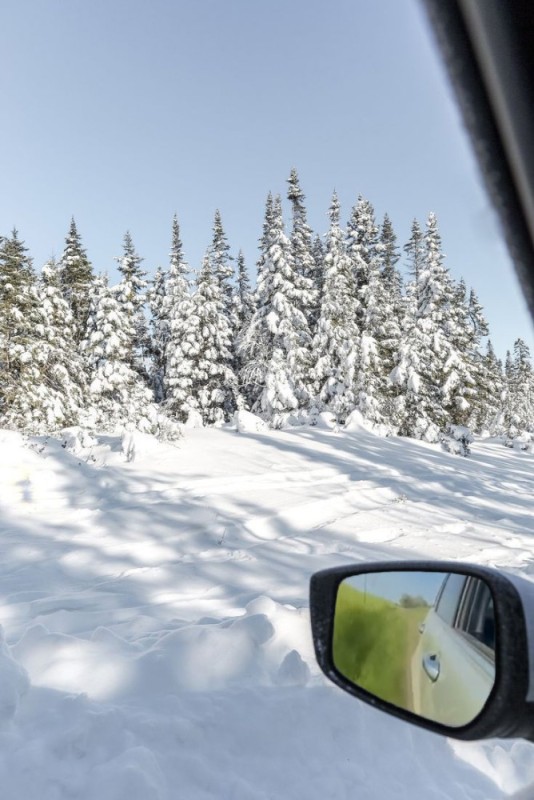 Создать мем: snow, зимняя дорога, зимний лес