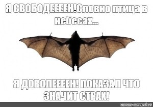 Create meme: big bat, bat, bat vampire