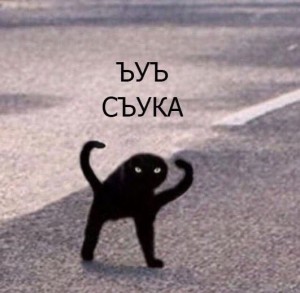 Create meme: black cat meme, joy, Shuka, black cat meme joy