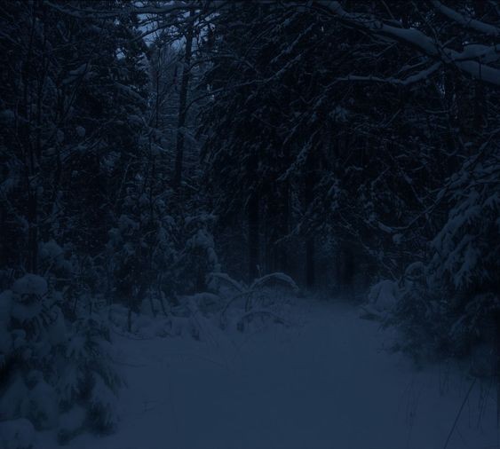 Create meme: dark winter forest, gloomy winter forest, scary winter forest at night