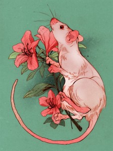 Создать мем: крыса рисунок, милая крыса рисунок, милые крысы