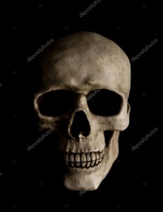 Create meme: human skull photo, skull, skull
