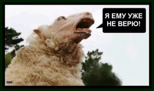 Create meme: funny sheep, RAM, black sheep