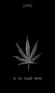 Create meme: cannabis leaf, marijuana