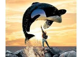 Create meme: free willie 1, killer whale or killer whale, Free Willy 1993 film