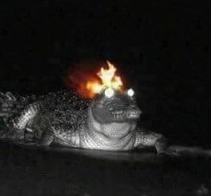 Создать мем: ангирус годзилла финальные войны, годзилла 1984, крокодил с горящей головой