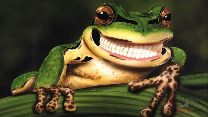 Create meme: funny frogs, toad , frogs and toads