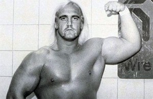 Create meme: Hulk Hogan 1979, Hulk Hogan young, Terry Hulk Hogan growth