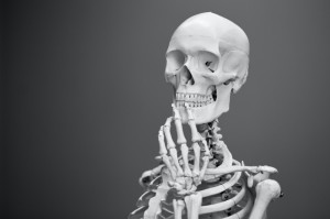 Create meme: skull skeleton, skeleton , skeleton background