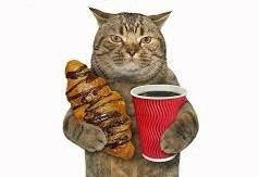 Create meme: cat croissant, cat , cat with coffee