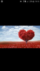 Create meme: whalecom Nasheed, Valentine's day, true love