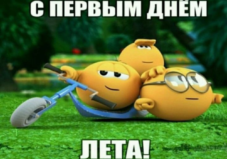 Create meme: happy first day of summer kolobki, happy first day of summer, happy summer day meme
