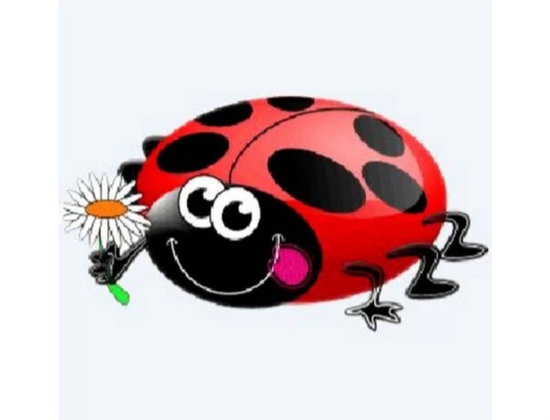 Create meme: ladybug , animated ladybug, ladybug animation