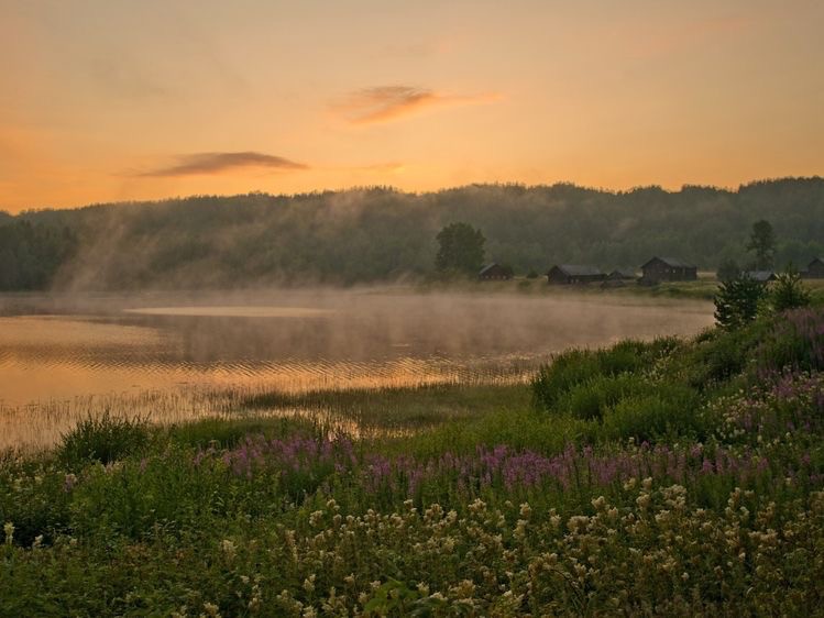 Create meme: fog at dawn, river nature, summer landscape