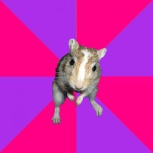 Create meme: Jaded Stripper Gerbil