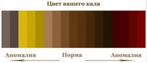 Create meme: brown