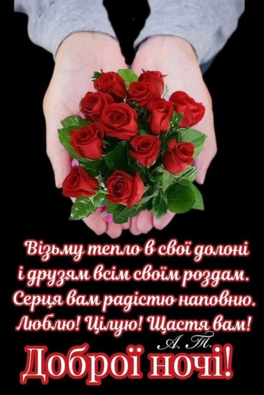 Create meme: good evening, beautiful flowers , good evening 