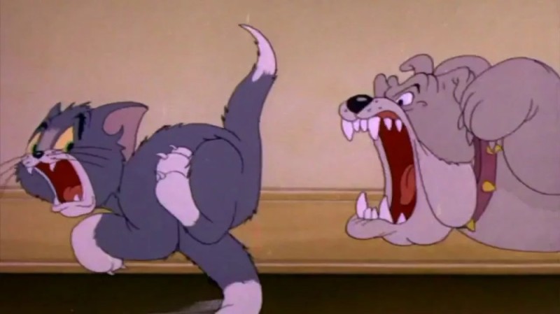 Create meme: Tom and Jerry the Bulldog, Tom and Jerry the dog, Tom cat from Tom and Jerry