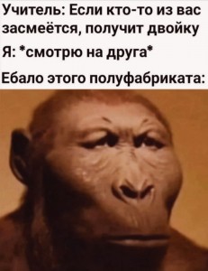 Create meme: the great quotes, Homo habilis