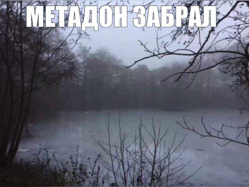 Create meme: screenshot , landscapes nature, gloomy paradise