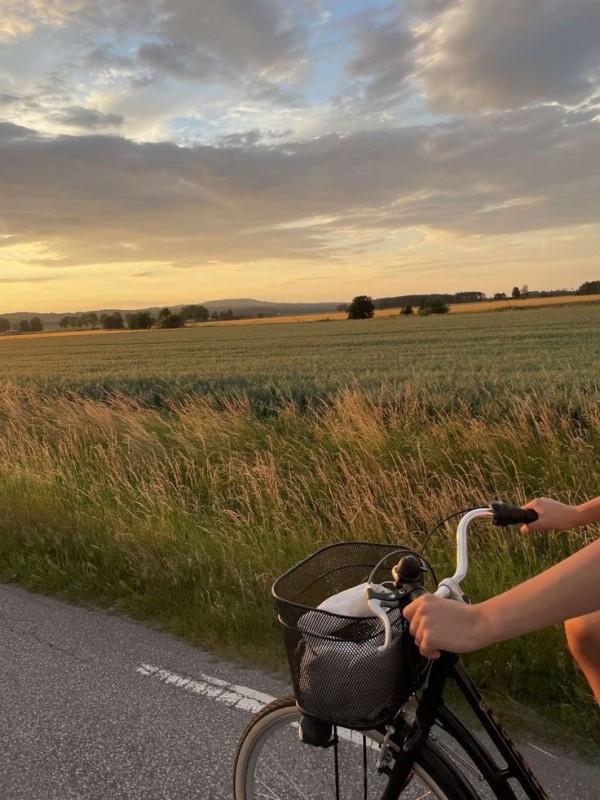 Create meme: bicycle in the field, bike in the village, riding a Bicycle