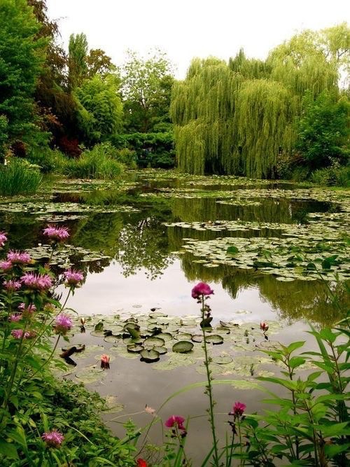Create meme: giverny france water lilies, monet pond in giverny, claude monet's water garden
