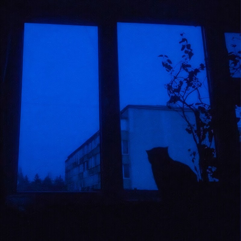 Create meme: silhouette in the window, A scary silhouette in the window, The night will envelop