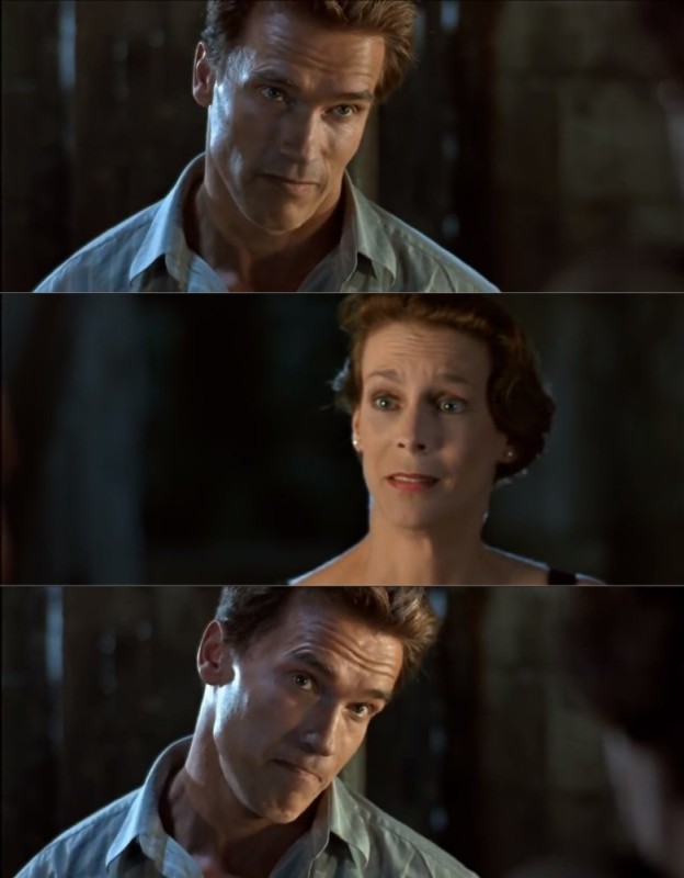 Create meme: a frame from the movie, True Lies (1994) Arnold Schwarzenegger, True Lies 1994 film