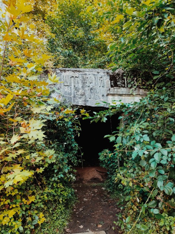 Create meme: The istok Yekaterinburg bunker is abandoned, bunker in the forest, caul Park