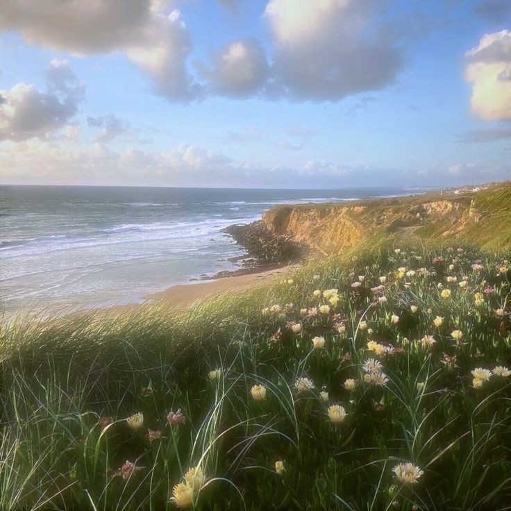 Создать мем: пейзаж фотографии, море природа, whispering wind