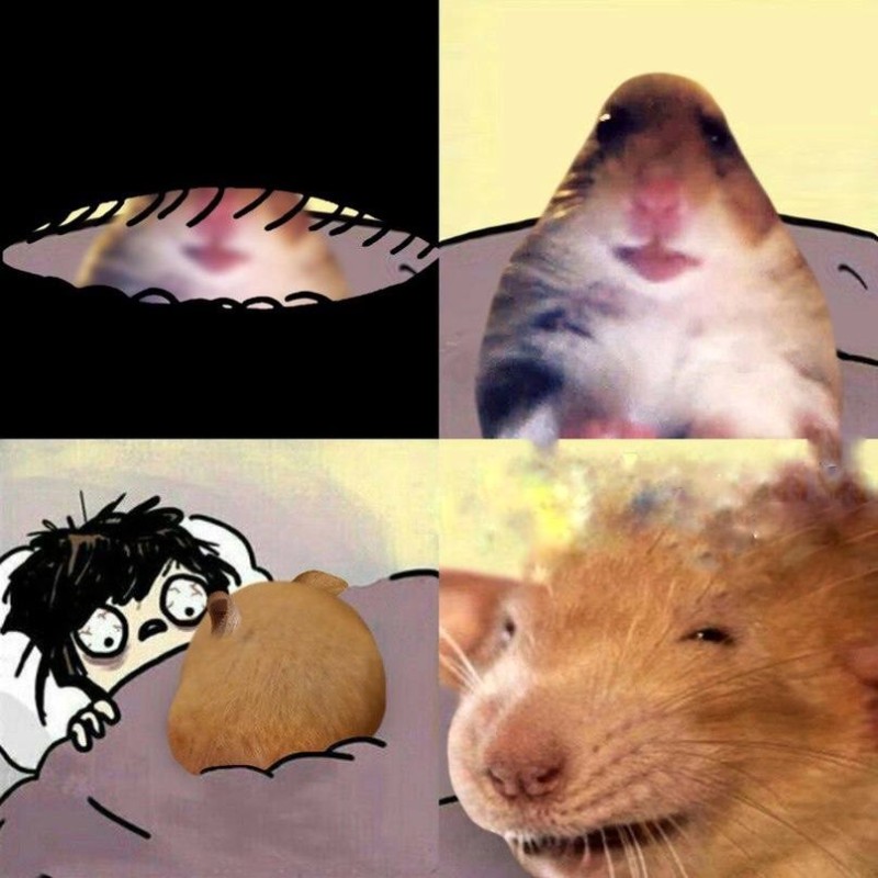 Create meme: the hamster of the meme, meme hamster with a cross, the hamster meme