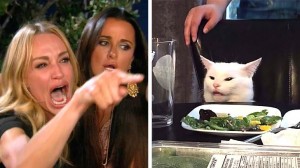 Создать мем: мем с котом и женщиной, мемы, кот