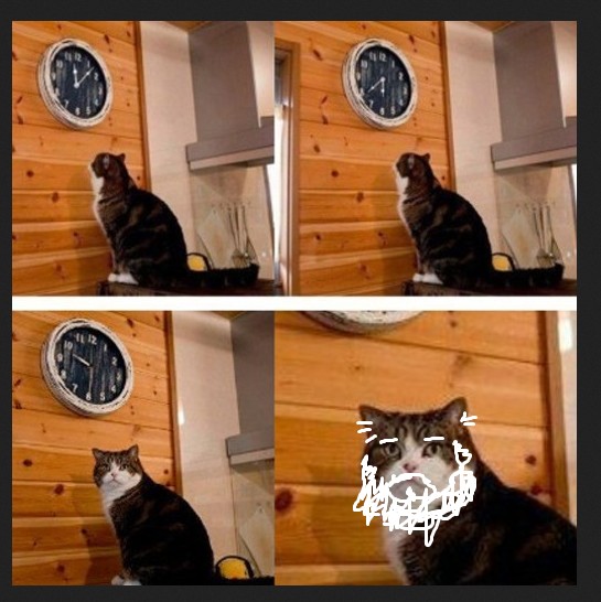 Create meme: cat time, memes with cats , meme with a cat and a clock