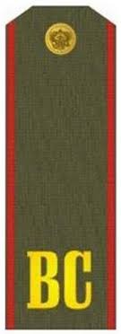 Create meme: shoulder straps of the senior sergeant, shoulder straps of a junior sergeant of the Armed Forces of the Russian Federation, sergeant 's shoulder straps of the Armed Forces of the Russian Federation