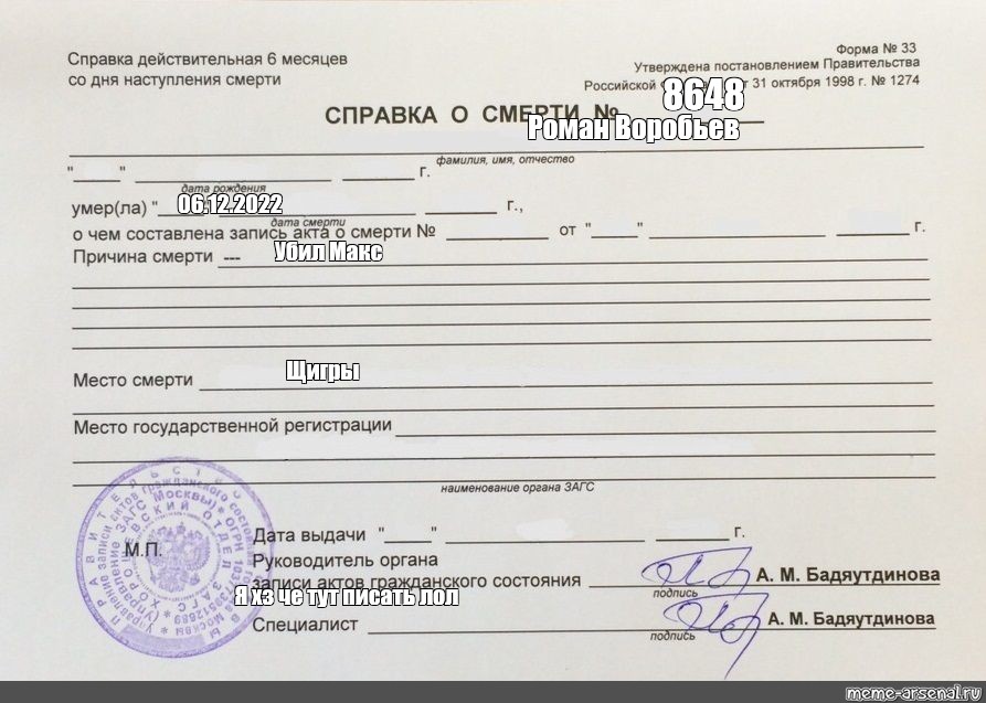 Свидетельство умерших. Справка о смерти в Белоруссии. Справка о смерти форма 33. Справка о смерти форма 11 образец. Вид справки о смерти форма 11.