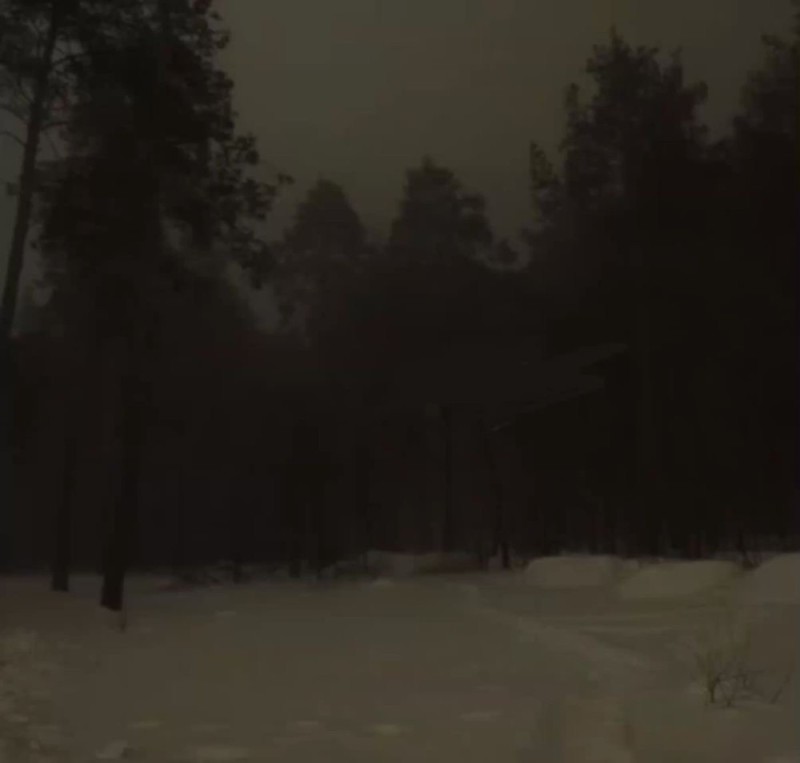 Create meme: night forest , night winter forest, winter forest night