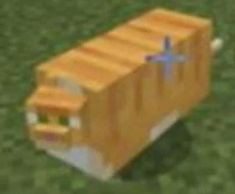 Create meme: cat loaf minecraft, Fox minecraft meme, cat loaf of minecraft