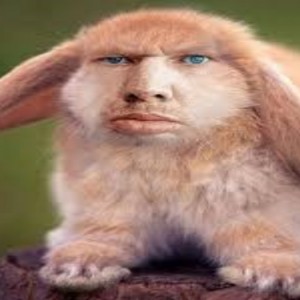 Создать мем: глад валакас кроль, николас кейдж кролик, валакас кроль
