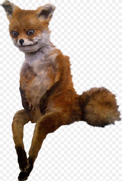 Create meme: Fox meme, a stuffed fox is a stoned fox, meme stoned Fox 