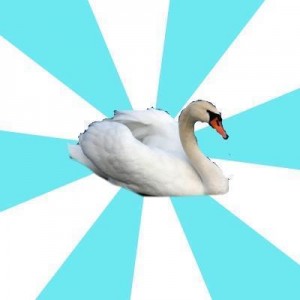 Create meme: swans on a pond, swan, Ice skater swan