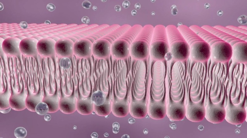 Create meme: 3d plasma membrane, 3d biological membrane, cell membranes